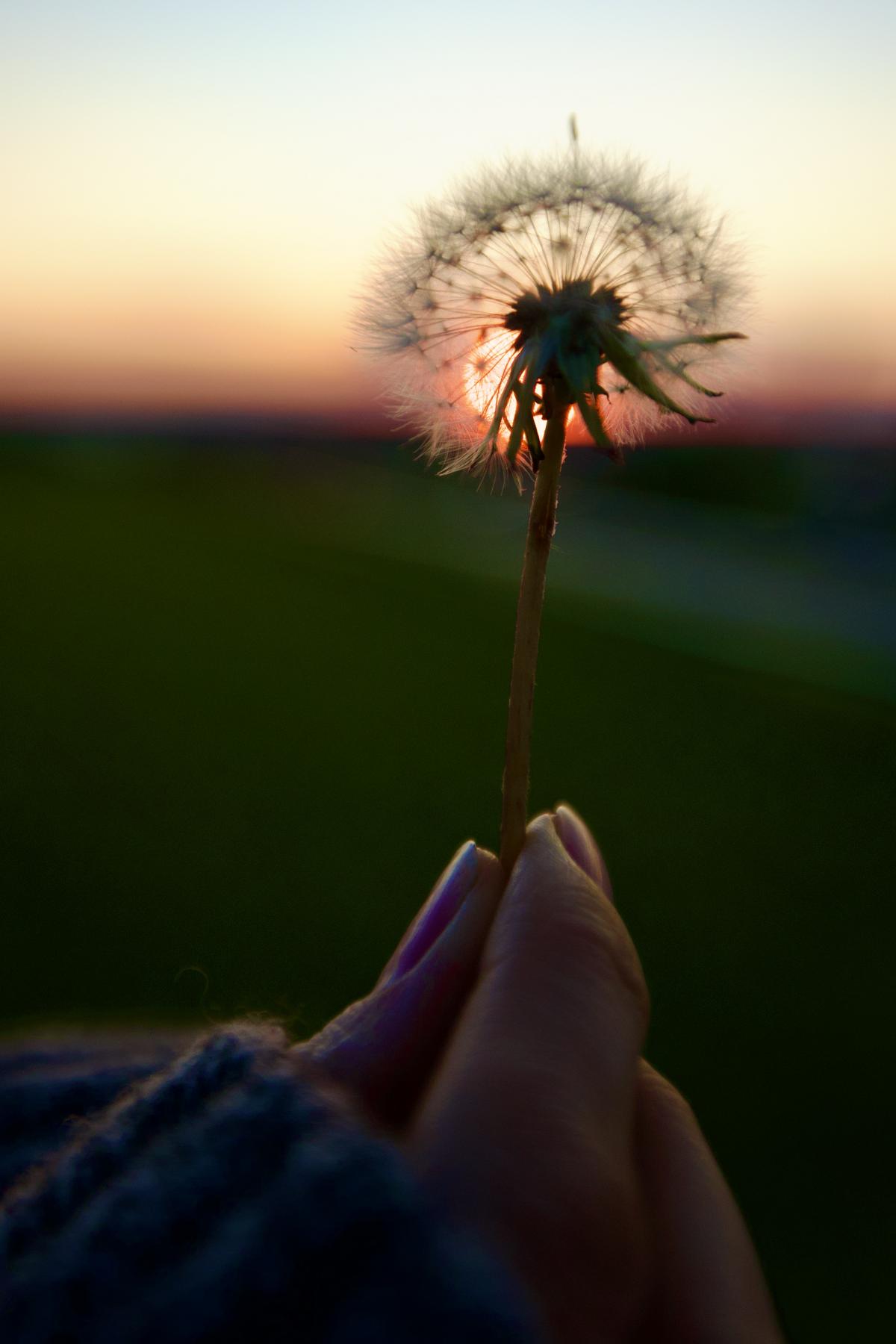post